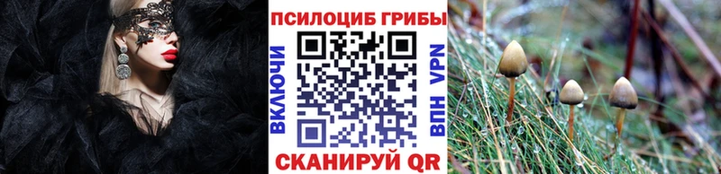 Галлюциногенные грибы Psilocybe  Ленск 